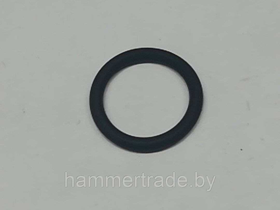 1610210163 Кольцо уплотнительное 22,0х3,5 мм для GBH 5 - фото 1 - id-p123207391