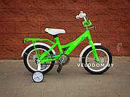 Велосипед детский Stels Talisman 14" Z010 салатовый, фото 3