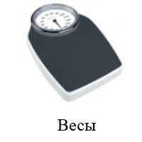 Весы