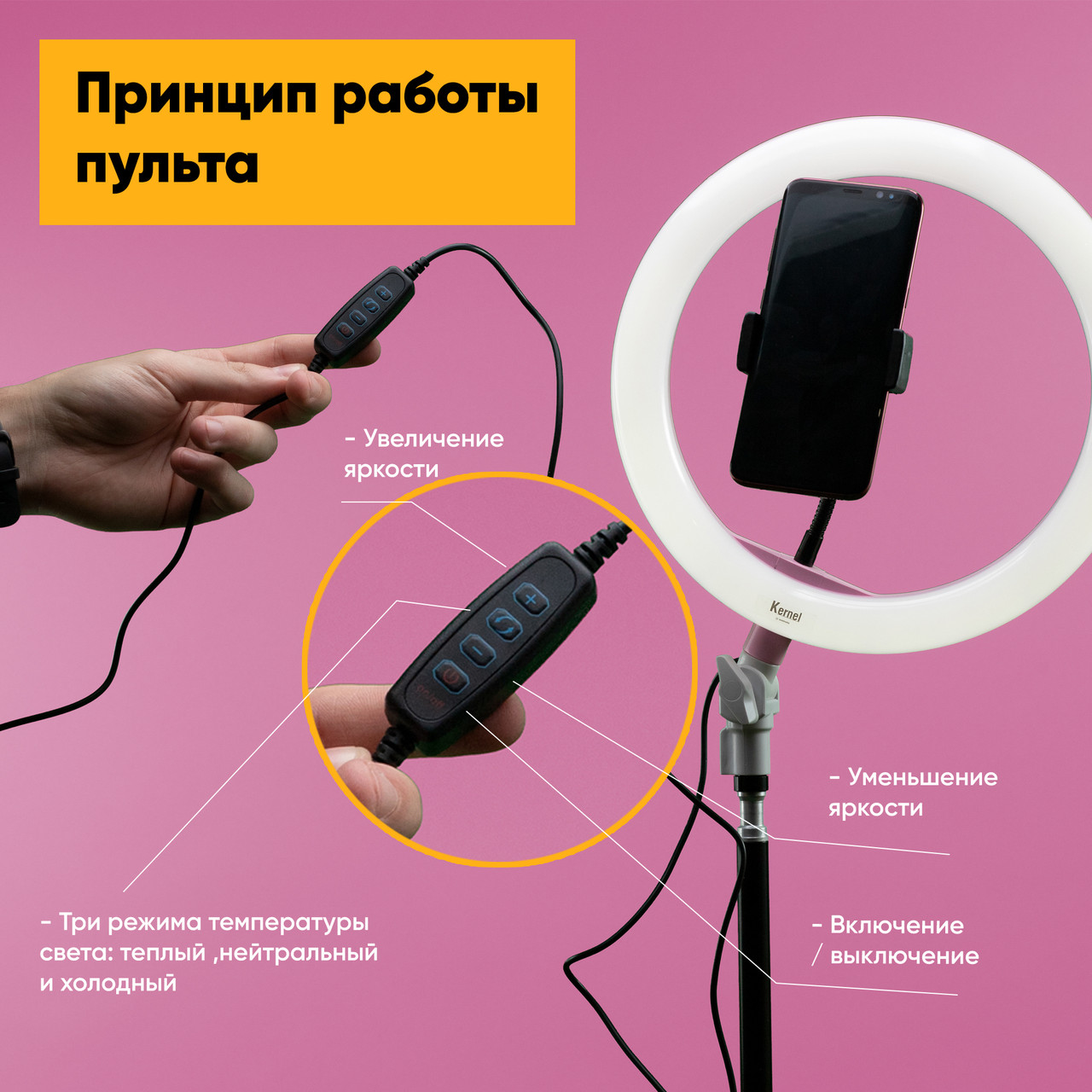 Кольцевая LED лампа 26 см + ШТАТИВ 2,1 метра + Держатель для телефона  (ID#122919991), цена: 40 руб., купить на Deal.by
