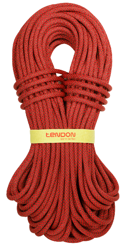 Динамическая веревка TENDON Ambition d10 мм