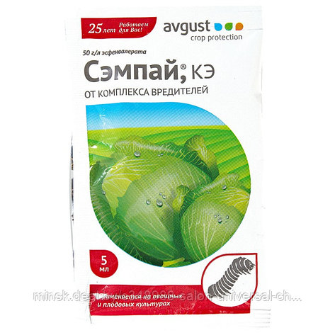 Сэмпай, ампула 5мл., фото 2