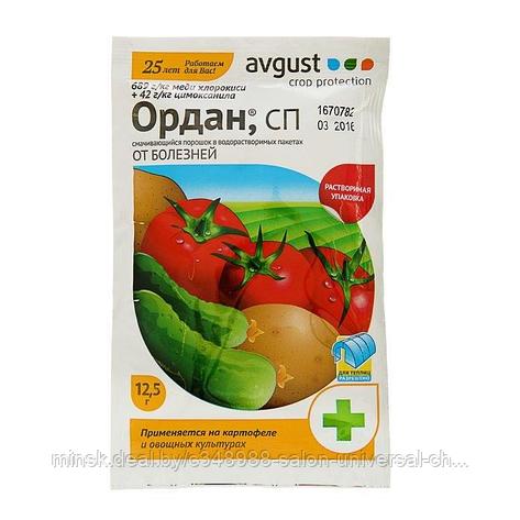 Ордан, водорастворимый пакет, 12,5г, фото 2