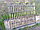 Решетка-шпалера садовая декоративная из массива сосны "Крокус", фото 3