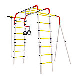 Детский спортивный комплекс для дачи Romana Веселая лужайка-2 без качелей, фото 2