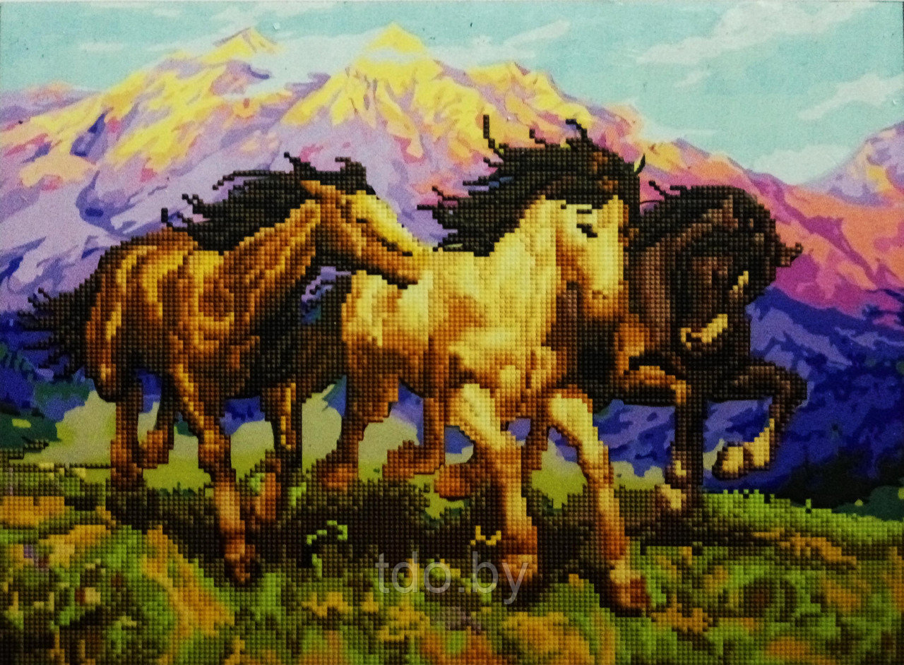 Алмазная раскраска по номерам Резвые лошади в поле