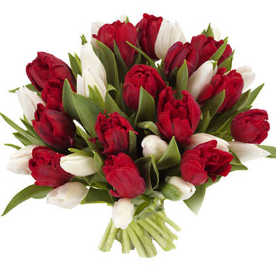 Букеты тюльпанов "Микс" - фото 5 - id-p123764030