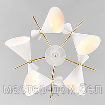 Eurosvet 70114/5, фото 2
