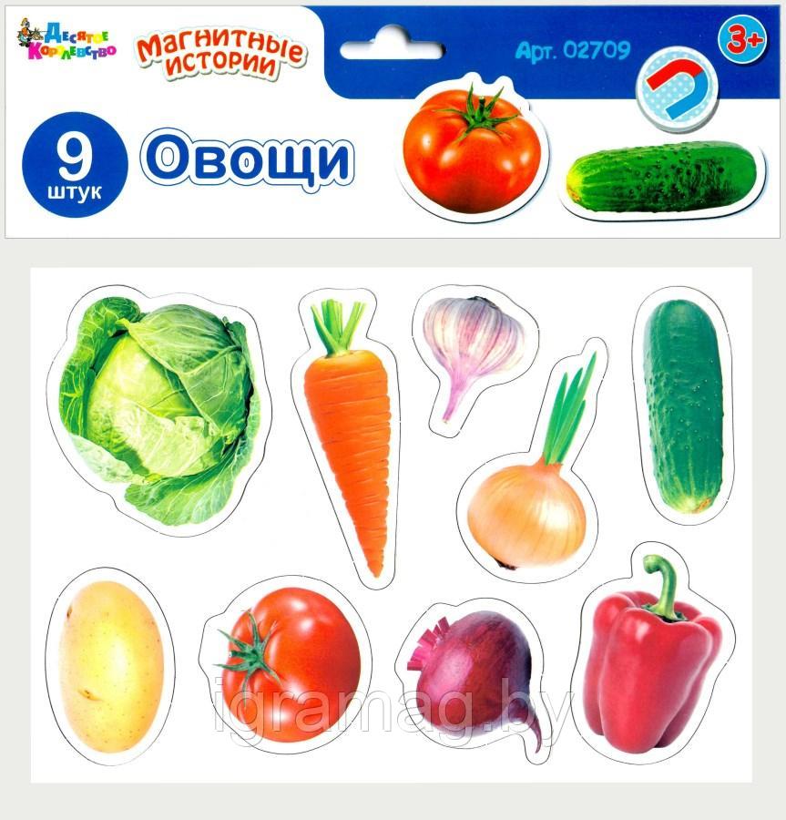 Игра магнитная развивающая - Магнитные истории Овощи - фото 1 - id-p123968634