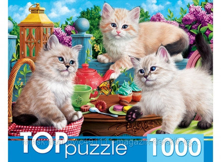 TOPpuzzle. ПАЗЛЫ 1000 элементов. Котята и чаепитие