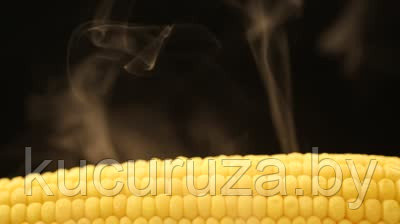 горячая кукуруза