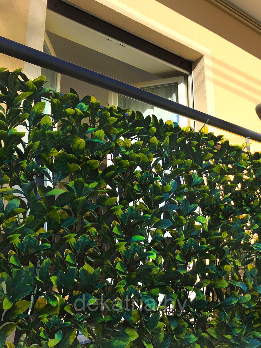 Изгородь с листьями DIVY LAURUS PLUS 3D 1,5х3м. - фото 3 - id-p124560932