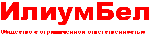 ООО "ИлиумБел"