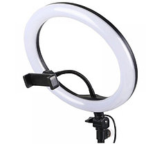 Кольцевая светодиодная лампа 27,5 см с пультом LED RING FILL LIGHT, фото 3