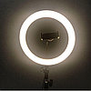 Кольцевая светодиодная лампа 27,5 см с пультом LED RING FILL LIGHT, фото 2