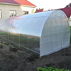 Теплица 20х20 / 3 ширина / шаг 1м, 0.67м, 0.5м / 4 метра, фото 2