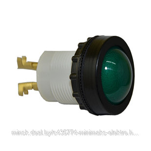 Светодиодная лампа D22Sz-24-230V