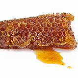 JMsolution Honey Luminous Royal Propolis Lip Balm 1+1 - Бальзам для губ с экстрактом прополиса 3.5 г x 2 шт., фото 6