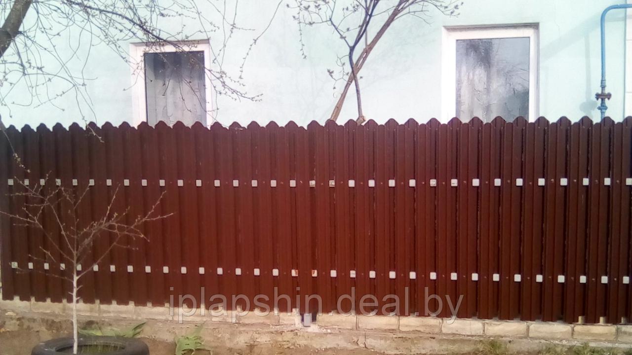 Забор из евроштакетника в Гомеле - фото 4 - id-p124770404