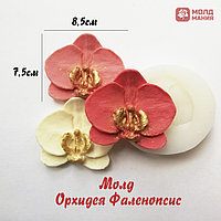 Молд  Орхидея Фаленопсис