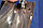 Головка шлифовальная лепестковая 20 мм, хвостовик 6 мм F 2010/6 CO-COOL , Pferd, фото 2