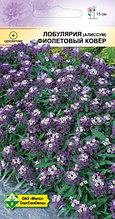 Семена Алиссум морской Лобулярия Фиолетовый ковер (0,2 гр) МССО