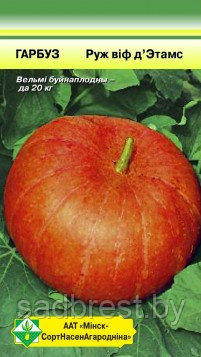 Семена Тыква Красная из Этампа (Руж виф д’Етамп) (7 шт) МССО