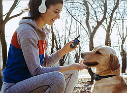 Методика обучения собаки при помощи электронного ошейника. Часть 2