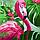 Банное полотенце «Фламинго» 60х146 см, фото 4