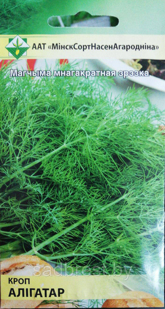 Семена Укроп Аллигатор (2 гр) МССО - фото 1 - id-p125242808