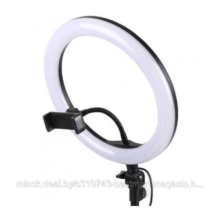 26см ЛАМПА +ШТАТИВ 220см +Пульт +Держатель телефона | LED Ring Fill Light Кольцевая - фото 10 - id-p125529820