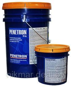 Пенетрон (гидроизоляционный состав проникающего действия), 5 кг. - фото 1 - id-p125610422