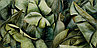 Paradyz Ceramika плитка Natura 30x60 см. Парадиж Керамика Натуро, фото 5