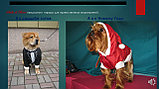 Презентация одежды для собак от Stillo di Bari, фото 10