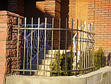 Забор металлический, фото 6
