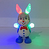 Танцующий кролик Dancing Rabbit, фото 2