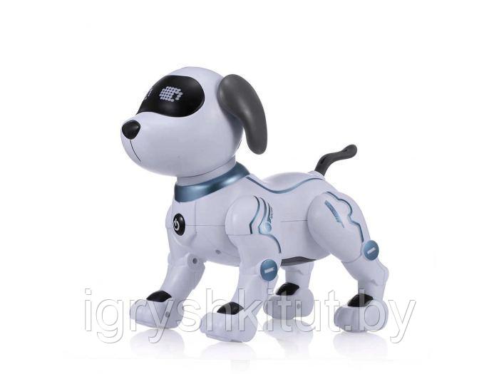 Робот-собака на РУ Smart Robot Dog, светозвуковые эффекты, арт.ZYA-A2875 - фото 4 - id-p126038173