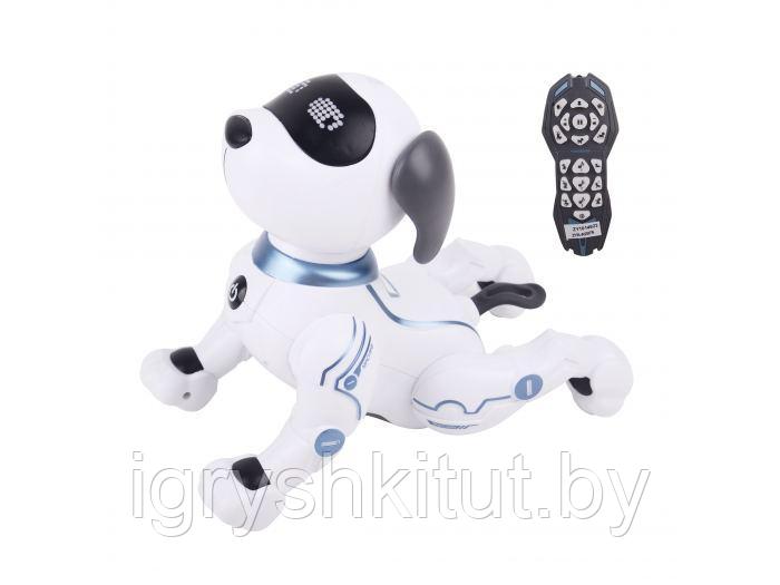 Робот-собака на РУ Smart Robot Dog, светозвуковые эффекты, арт.ZYA-A2875 - фото 3 - id-p126038173