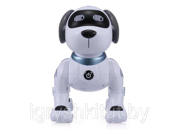 Робот-собака на РУ Smart Robot Dog, светозвуковые эффекты, арт.ZYA-A2875 - фото 5 - id-p126038173