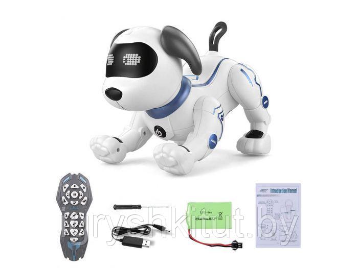 Робот-собака на РУ Smart Robot Dog, светозвуковые эффекты, арт.ZYA-A2875 - фото 6 - id-p126038173