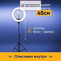 Кольцевая LED лампа 45 см. RL-18' + Пульт ДУ + Держатель для телефона + подарок Штатив 2м