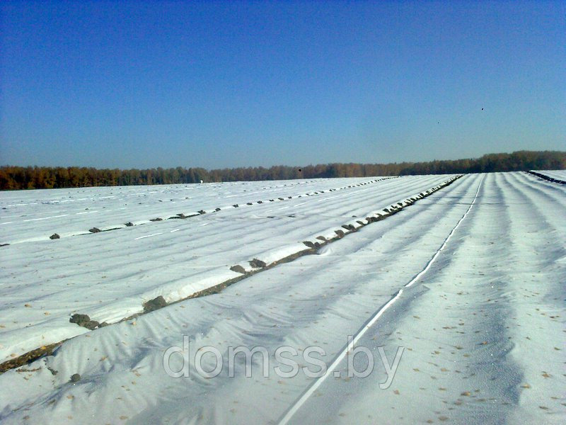 Спанбонд 30г\м2 ширина 4,2*15,3м СпанБел