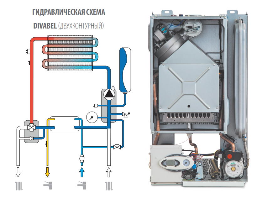 Газовый котел Ferroli DIVABEL F 20 - фото 4 - id-p126040005