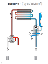 Газовый котел Ferroli Fortuna H F 13, фото 3