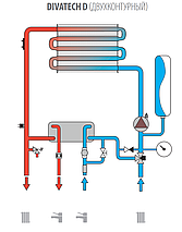 Газовый котел Ferroli DIVATECH D F32 (Ex), фото 2