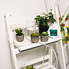 Автополив комнатных растений easygrow, фото 3