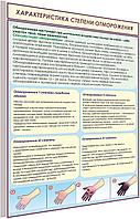 Плакат по охране труда  Характеристика степени отморожения  №8б р-р 40*57 см на ПВХ 3 мм