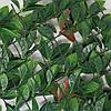 Изгородь с листьями DIVY PHOTINIA PLUS 3D 1,5х3м., фото 3
