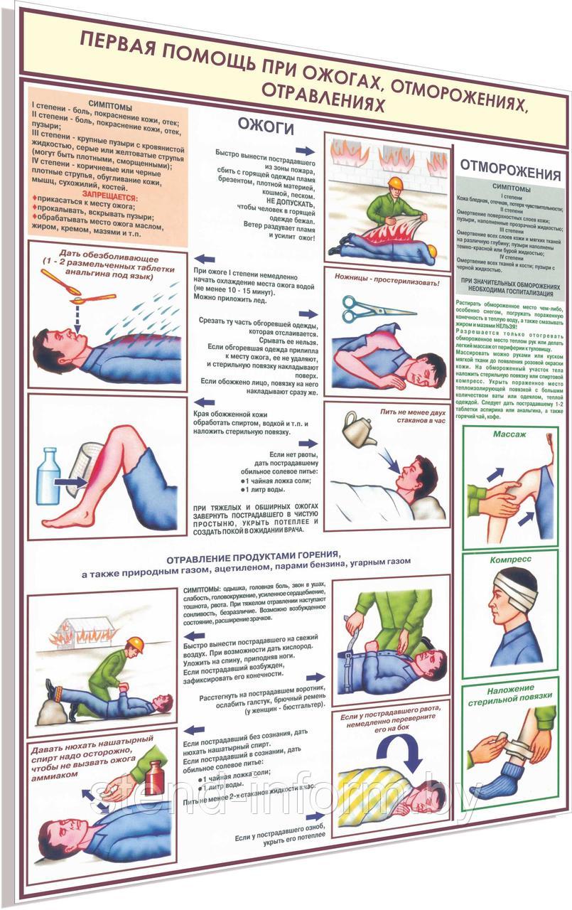 Плакат по охране труда Первая помощь при ожогах, отравлениях, отморожениях №8ж р-р 40*57 см на ПВХ - фото 1 - id-p126281365