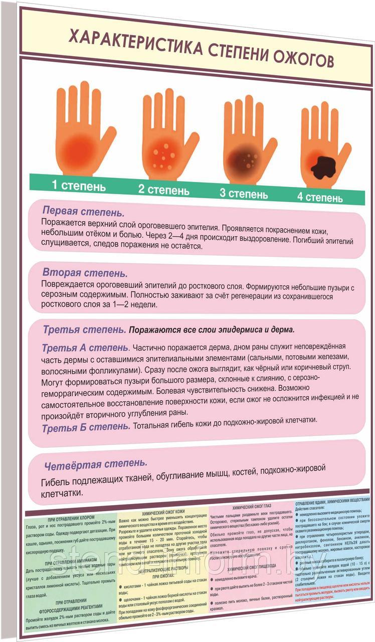 ПЛАКАТ по Охране труда "Характеристика степени ожогов" №8и р-р 40*57 см на ПВХ